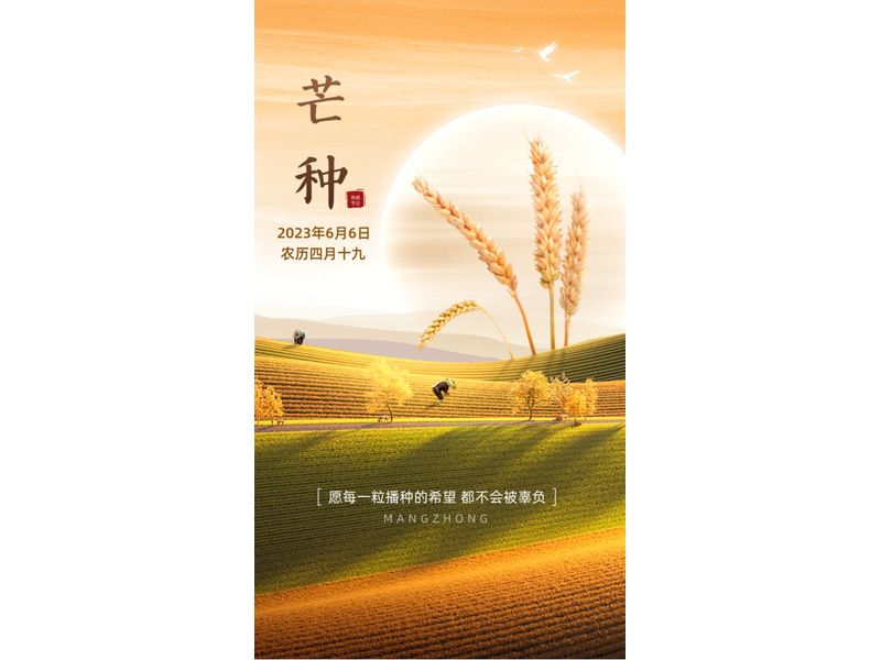 風(fēng)吹麥浪芒種時，麥香深處有希望